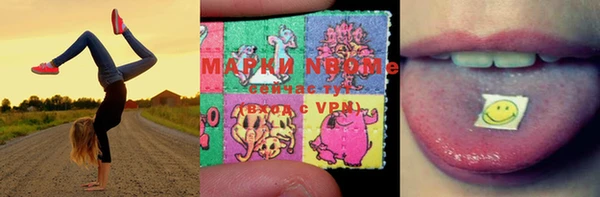 СК Белокуриха