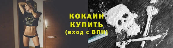 стаф Баксан