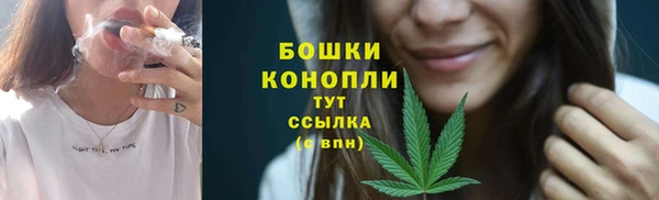 СК Белокуриха