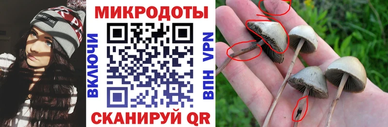 где купить наркоту  Рудня  Галлюциногенные грибы GOLDEN TEACHER 