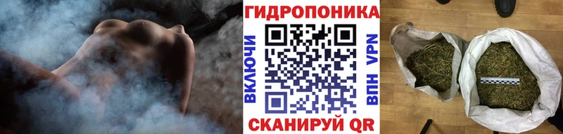 Марихуана SATIVA & INDICA  наркотики  Рудня 